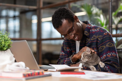 If you host Take Your Pet to Work Day as an employee appreciation gift, consider inviting well-behaved cats.